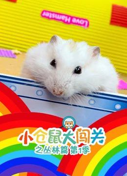 小仓鼠大闯关之丛林篇