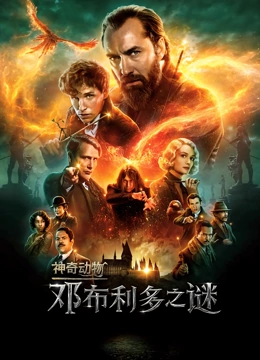 神奇动物邓布利多之谜