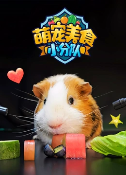 萌宠美食小分队