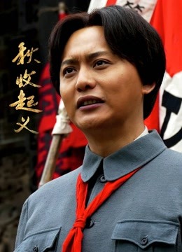 秋收起义DVD