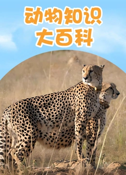 动物知识大百科