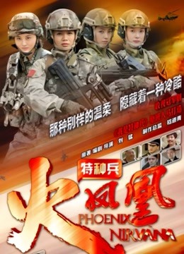特种兵之火凤凰DVD