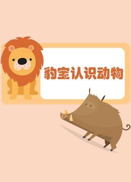 豹宝认识动物